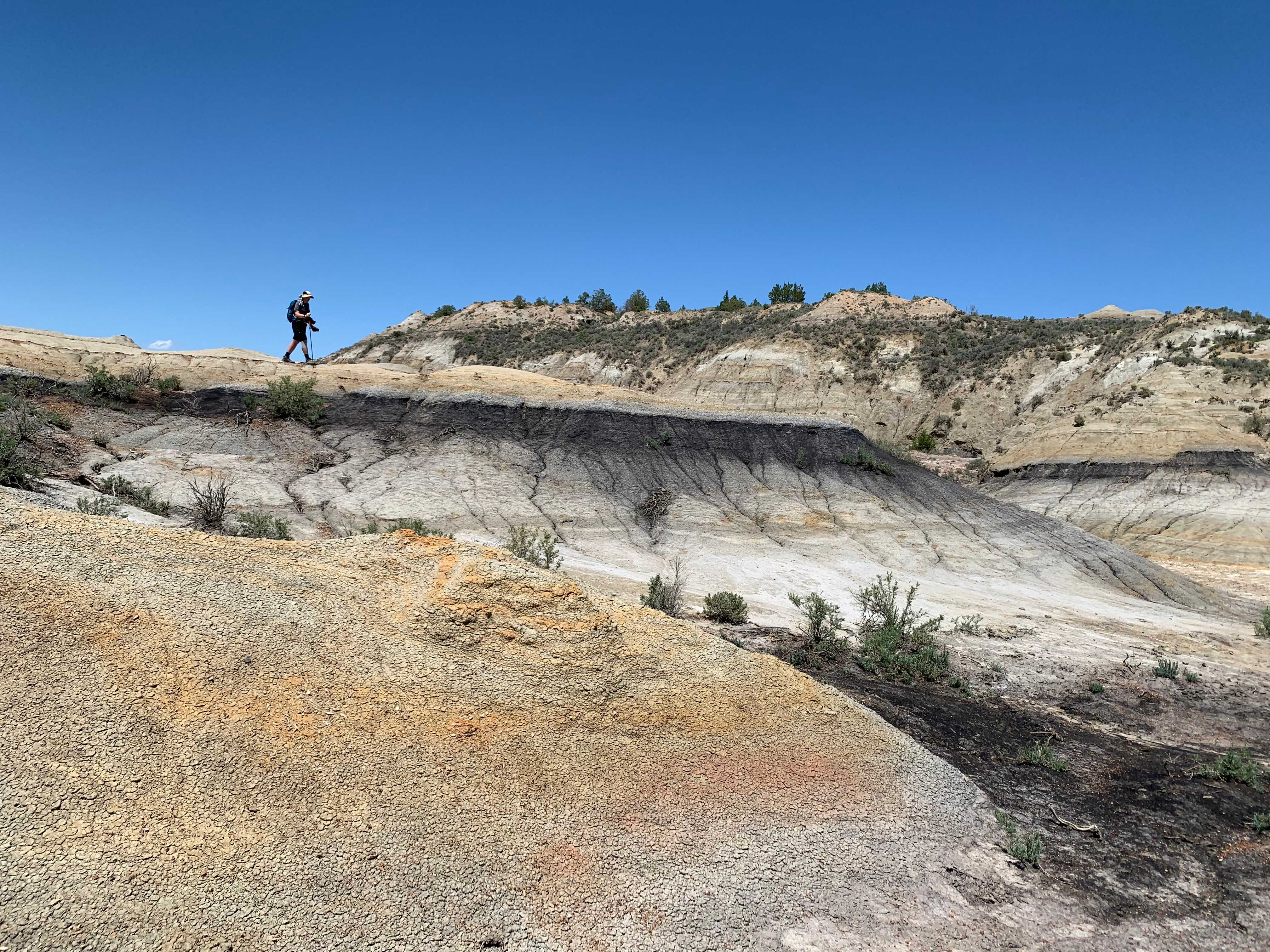 Theodore Roosevelt NP